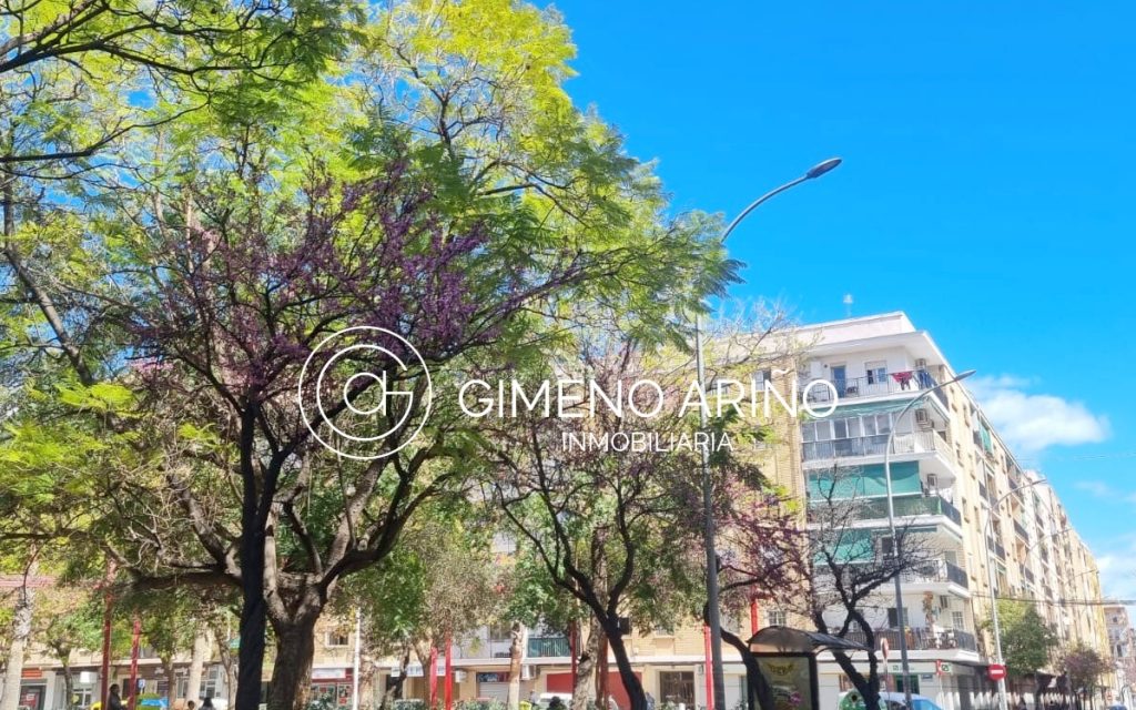 Foto-de-felipe-rrinaldi